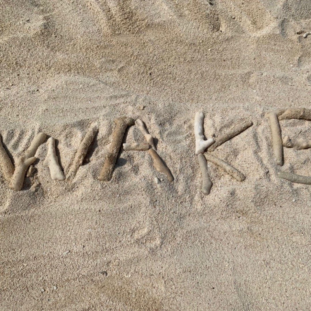 WAKE!進学スクール